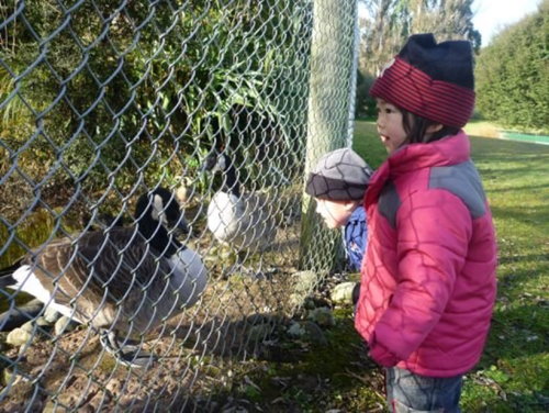 Te Anau Bird Sanctuary